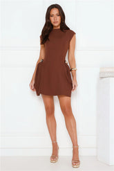 Fashion That Works Mini Dress Brown
