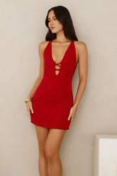 Garden Of Roses Mini Dress Burgundy