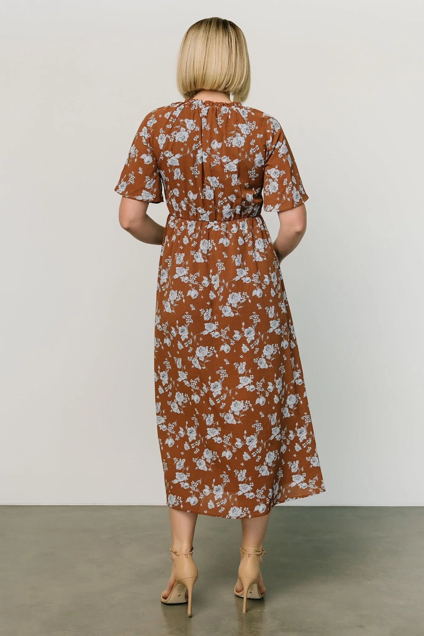 Botega Midi Dress | Brown + Blue