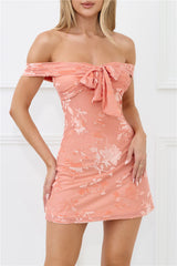 Fierce Dreams Off Shoulder Mesh Mini Dress Peach