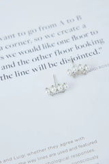 925 Sliver Something Special Earrings Silver