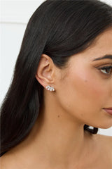 925 Sliver Something Special Earrings Silver