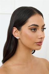 925 Sliver Something Special Earrings Silver