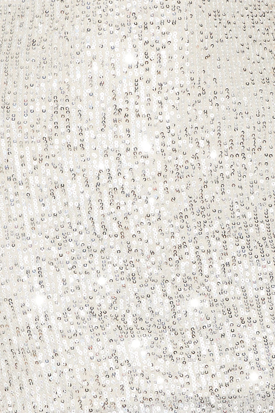 Sparkles Flying Sequins Mini Dress Silver
